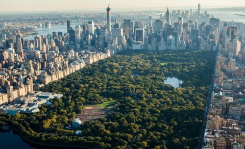 Dünya azərbaycanlıları Nyu-York merinə müraciət etdi
