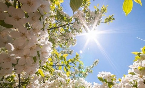 Sabah 22 dərəcə isti olacaq