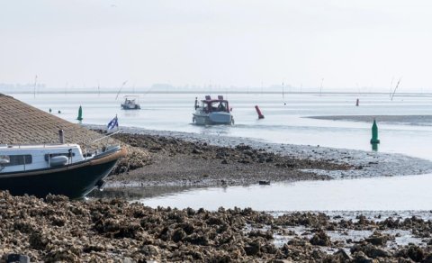 ABŞ-da bu problemin həllnini tapanlara 200 dollar mükafat təklif olunur