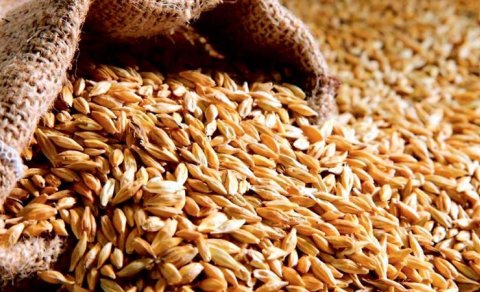 Buğdanın qiyməti qalxacaq?