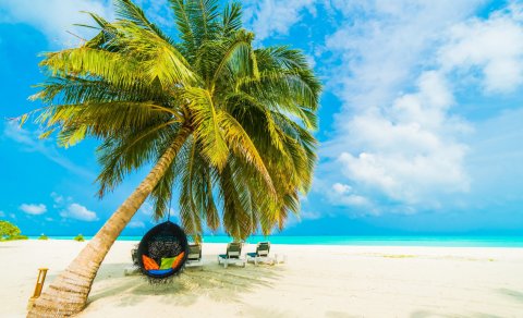 Azərbaycanla Maldiv arasında yeni mərhələ: Turizm inkişaf edəcək