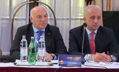 Arzuxan Əlizadə beynəlxalq toplantıda iştirak edib