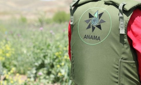 ANAMA-da audit yoxlaması keçiriləcək