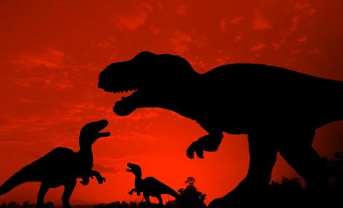 Balalarına qayğı göstərən dinozavrlar haqqında gözlənilməz kəşf