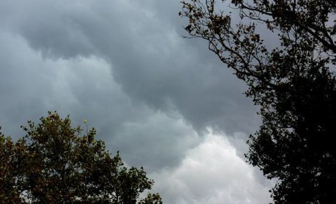 Sabahın hava proqnozu