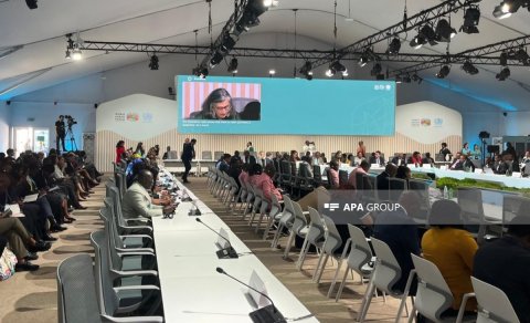 UN-Habitatın icraçı direktoru: "Afrikalıların 50 faizi şəhər ərazilərində yaşayır"