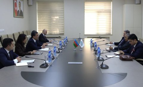 MEDİA-da D-8 İqtisadi Əməkdaşlıq Təşkilatının Baş katibi ilə ikitərəfli görüş keçirildi - FOTO