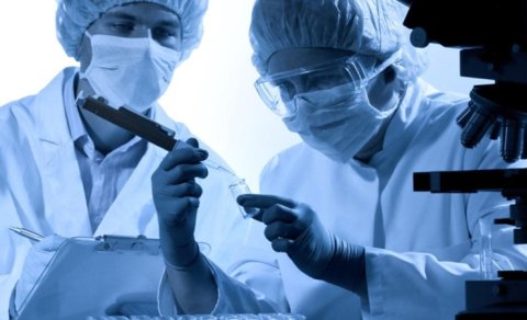 Yer göbələyi NASA sterilizasiyasından sağ çıxdı - Marsda məskunlaşa bilər