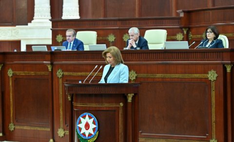 Bahar Muradova parlamentə hesabat verəcək