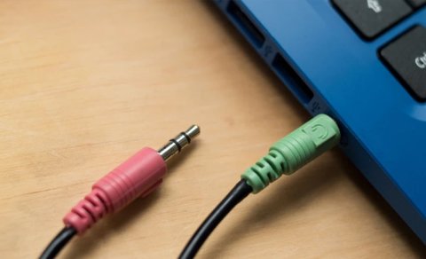 Qulaqcıq uclarındakı sirli xətlərin məqsədi nədir?