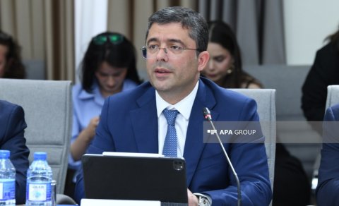Əhməd İsmayılov: "Erkən yaşlarda sosial şəbəkə istifadəsi problemə səbəb ola bilər"