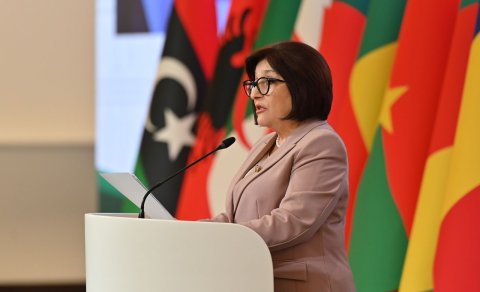 Sahibə Qafarova İƏTPİ-nin 20-ci sessiyasında çıxış etdi - FOTOLAR