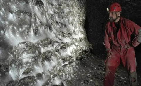 111 min hörümçəyin toxuduğu nəhəng tor alimləri təəccübləndirdi
