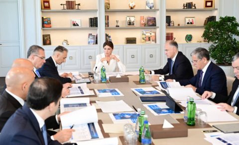 Deputat: &ldquo;Rəqəmsal İnkişaf Şurasının yaradılması xüsusi əhəmiyyət daşıyır&rdquo;