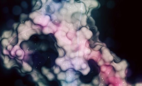 Prion zülalları antibiotik müqavimətinə qarşı yeni ümid hesab olunur