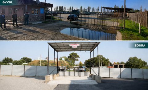 Xaçmazda heyvan satışı bazarı fəaliyyətə başlayıb