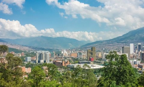 Bu şəhərdə 880 min ağac əkildi və havanın temperaturu bir neçə dərəcə aşağı düşdü