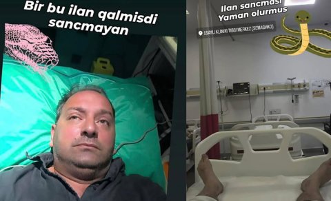 Elnur Kərimovu ilan sancdı