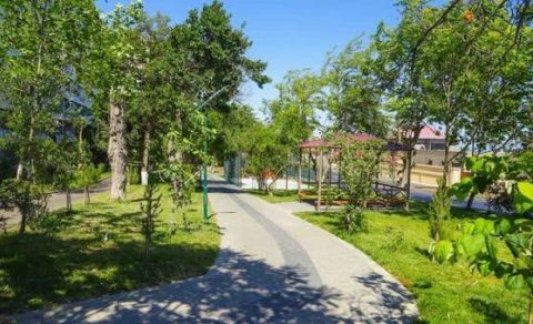 Bakıda yaşıllıqlar azalır &ndash; &ldquo;Ciddi ekoloji problemdir&rdquo;