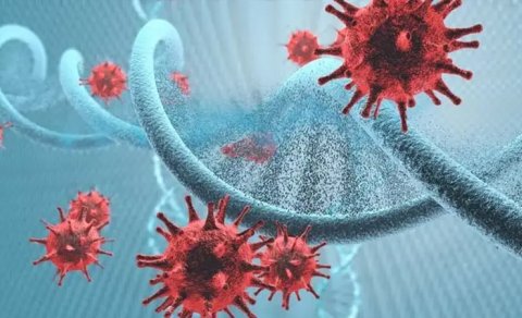 Həkimdən xəbərdarlıq: Hepatit B və C sirrozla qaraciyər xərçənginə səbəb ola bilər