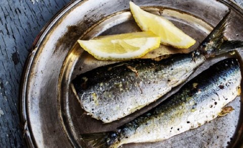 Sardinadan daha çox D vitamini olan 4 balıq növü açıqlandı