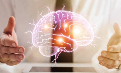 Alimlər insan beyninin çoxdan mövcud olan sirlərindən birini açıqladı