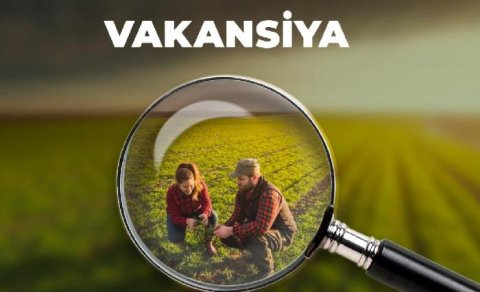 İşçilərə ən yüksək maaşı hansı sahələrdə təklif edirlər?