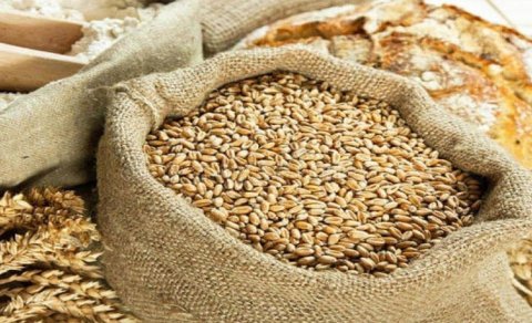 Toxumçuluqda yeni rüsumlar nəyi dəyişəcək?