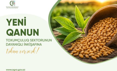 Yeni Qanun toxumçuluq sektorunun dayanıqlı inkişafına təkan verəcək
