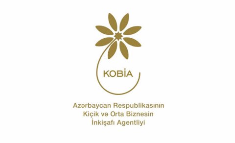 KOBİA-nın Əsasnaməsi təsdiqləndi