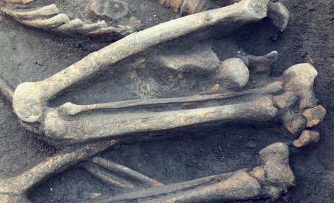 Boğazına oraq qoyulmuş XVII əsr "vampir qadını"nın məzarı tapıldı
