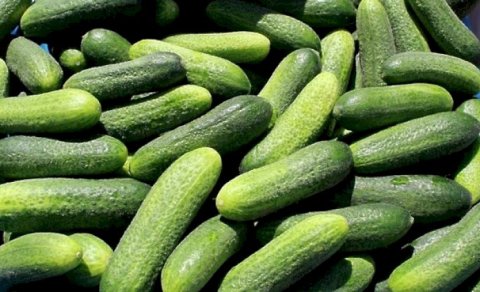 Bazarda xiyar qiymətləri neçəyədir?
