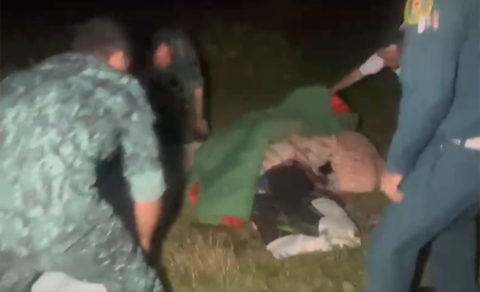 Niderlandlı qadına Şəkidə itlər hücum etdi: Belə xilas olundu - VİDEO