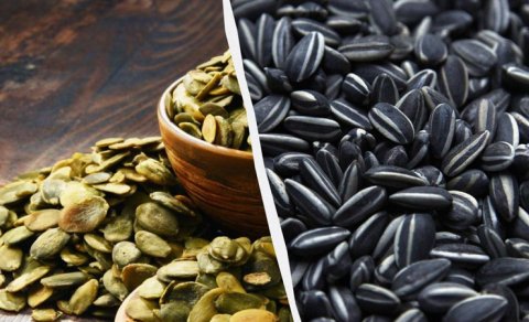 Balqabaq, yoxsa günəbaxan tumu: Hansı daha yaxşıdır?
