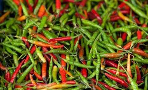 Acı bibər neçəyədir? &ndash; Bazar QİYMƏTLƏRİ