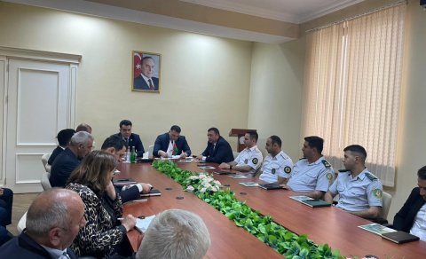 Balakəndə qəhvəyi mərmər bağacığı ilə mübarizəyə həsr olunmuş növbəti iclas keçirilib