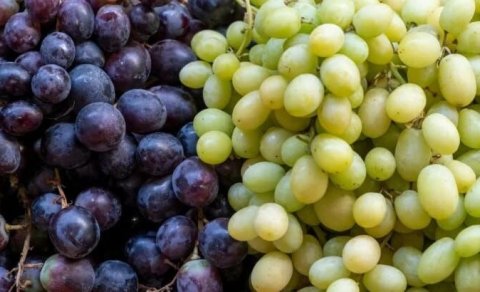 Üzüm neçəyədir? &ndash; Bazar QİYMƏTLƏRİ