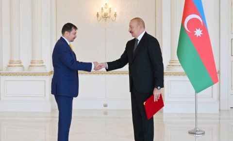 Prezident yeni təyin olunmuş rezident əlaqələndiricisini qəbul etdi - FOTO
