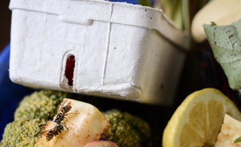 Alimlər plastik butulkaları filtrlər üçün qiymətli kömürə çevirdi