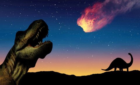 Quşların əcdadlarının asteroidin düşməsindən niyə sağ çıxdığı məlum oldu