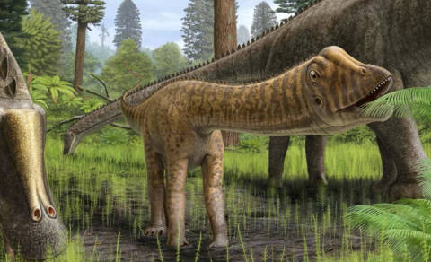 ABŞ-da axtarılan dinozavr İspaniyada tapıldı -Alimləri heyrətləndirən kəşf