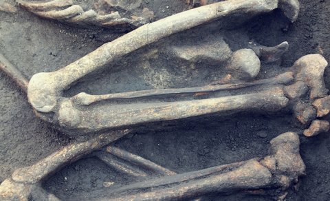 Afrikanın tarixini yenidən yazan monumental Tunc dövrü qalası aşkarlandı