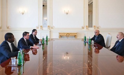 Prezident "Brookfield Asset Management" şirkətinin baş icraçı direktorunu qəbul etdi - FOTO