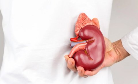Böyrək problemlərinin mühüm əlaməti: Çoxları bunu görməzdən gəlir