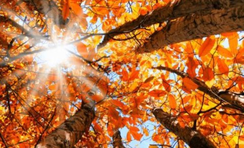 Oktyabr ayının hava proqnozu açıqlandı