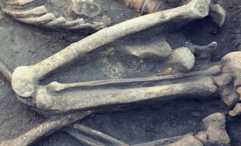 Arxeoloqlar 8 min il əvvəl yaşamış çinlinin üzünü bərpa etdi