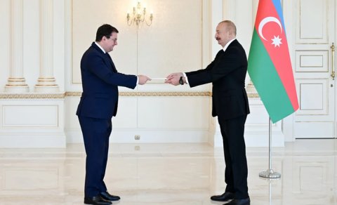 İlham Əliyev Avstriyanın Azərbaycanda yeni səfirini qəbul etdi - FOTO