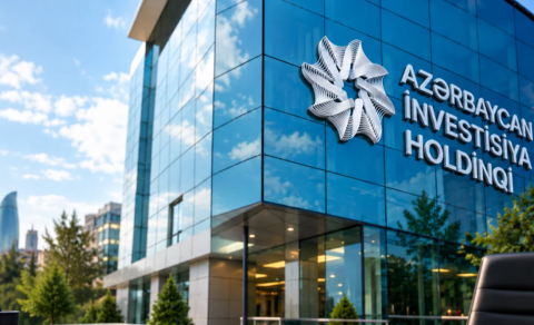 Azərbaycan İnvestisiya Holdinqində yeni direktor təyinatı - FOTO