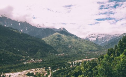 Polşalı turist Himalay dağlarında qramı qızıldan baha olan göbələk tapdı