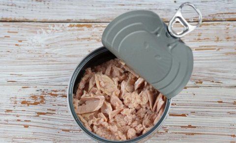Tuna balığından daha faydalı konserv hansıdır?